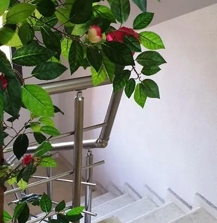 морската къща בית הארחה 4*